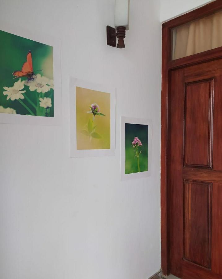 River Side Holiday Inn Weligama Bagian luar foto